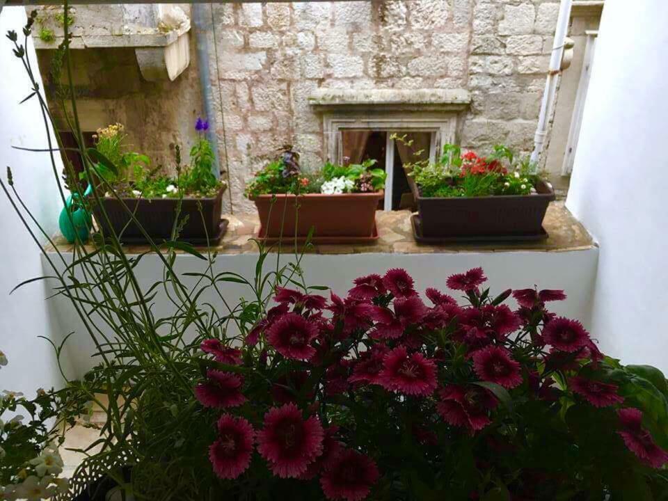 Puntin Rooms Sobe Korcula Town Bagian luar foto